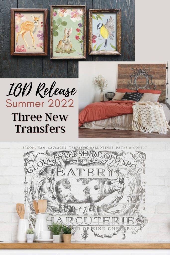 IOD Release Summer 2022 Transfers Pinterest Pin